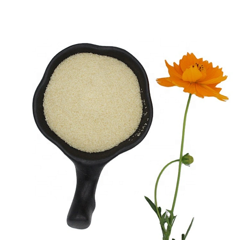 2024 good quality manufacturer Edible granules Hydrolyzed food grade gelatin